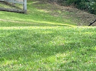 Kelsey F.'s Lawn Care service result