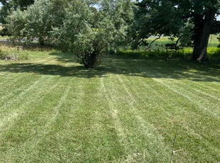 Lara G.'s Lawn Service service result