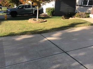 Yeeland C.'s Lawn Service service result