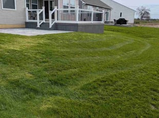 Lorraine L.'s Lawn Mowing service result