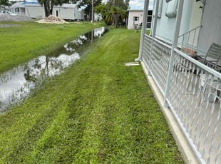 Catherine N.'s Lawn Mowing service result