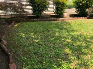 Landscaping by David Nease for Karen S. in Nashville, TN