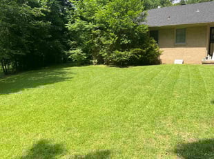 Temeka J.'s Lawn Care service result