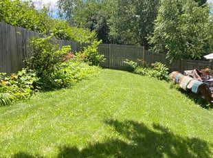 Kenya F.'s Lawn Mowing Service service result