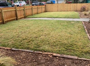 Leaf Removal by Brandon Cummings for Chris L. in Atlanta, GA