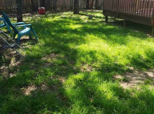douglas t.'s Yard Cutting service result