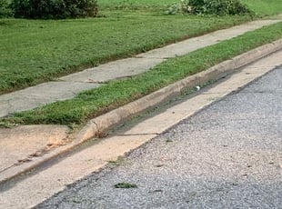 Bush Trimming by Calvin Holland for Kyle S. in Newport News, VA