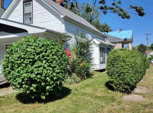 Bush Trimming by Christopher Pelfrey for Yakini H. in Cleveland, OH