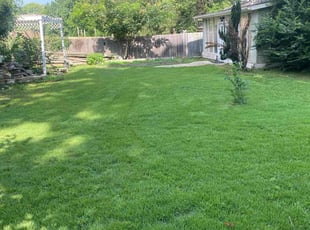 Jeannie R.'s Lawn Care service result