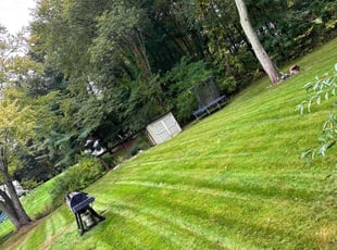 Idrena D.'s Yard Cutting service result