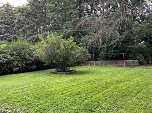 Paula S.'s Yard Cutting service result