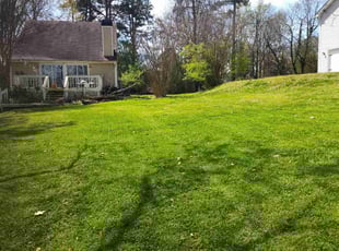 Gwen G.'s Lawn Maintenance service result