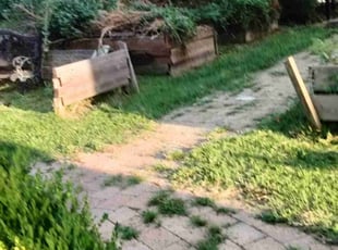 Weeding by Ronald Bell for Elizabeth B. in Kansas City, MO