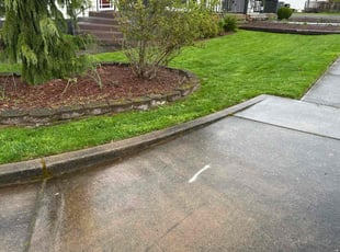 KEVIN F.'s Lawn Care service result