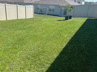 Michael M.'s Lawn Care service result