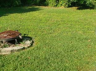 Crystal M.'s Lawn Mowing Service service result