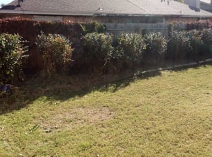 Bush Trimming by Jeremi Smith for Leighann L. in Oklahoma City, OK