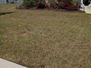 Aeration by Thomas Chalker for William C. in Augusta, GA