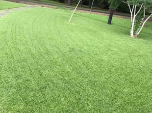 Alrick C.'s Grass Cutting service result