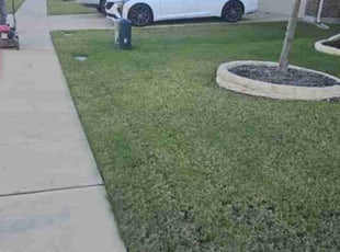Jasmine B.'s Lawn Mowing Service service result
