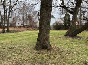 Leaf Removal by Demetrius Bennett Jr for Samiksha G. in Cleveland, OH