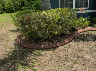 Bush Trimming by Joshua Gerrard for Jason B. in Riverview, FL