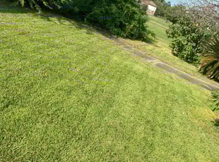 Amy G.'s Lawn Care service result