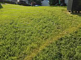 Tina W.'s Lawn Care service result