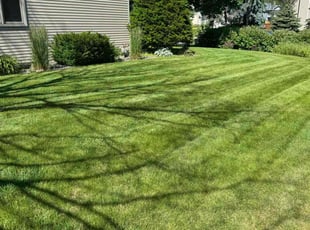 Karen B.'s Lawn Mowing Service service result