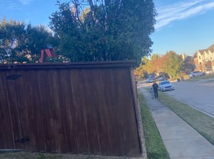 Bush Trimming by Nelson Rhoades for Patrick S. in Keller, TX