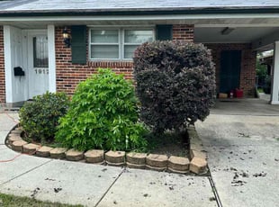 Bush Trimming by Carl Burckel for Alex R. in Metairie, LA
