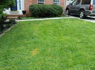 Bush Trimming by Brandon Rader for Megan D. in Knoxville, TN