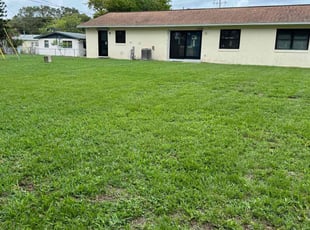 Kaitlin S.'s Grass Cutting service result