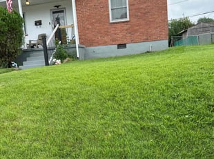 Kaldin C.'s Lawn Mowing Service service result