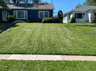 Ralph B.'s Lawn Mowing service result