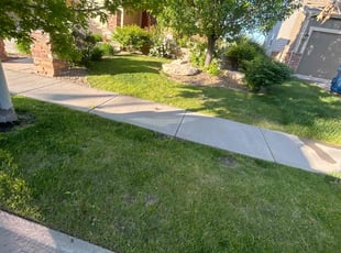 Whitney B.'s Lawn Mowing service result