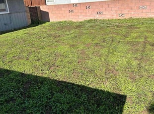 Aeration by Jose Olivares for Richard M. in Los Angeles, CA