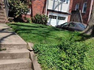 Christopher Y.'s Grass Cutting service result
