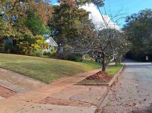 Leaf Removal by Marsha Cooper for Mike E. in Avondale Estates, GA