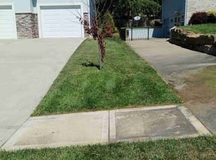 Scott B.'s Lawn Service service result