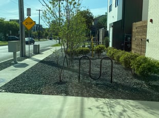 Bush Trimming by Victor Ramirez for Noelle F. in Dallas, TX