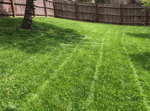 Samuel T.'s Lawn Service service result