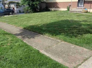 Rivero B.'s Grass Cutting service result