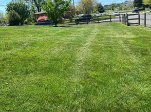 Joanie W.'s Lawn Mowing Service service result