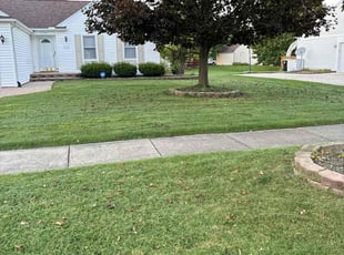 Carmelita G.'s Lawn Care service result