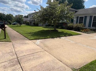 Bendu J.'s Lawn Mowing service result