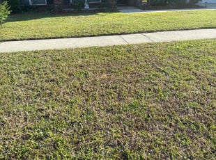 Chad S.'s Lawn Care service result