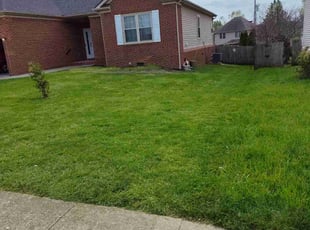 Sheri R.'s Lawn Care service result