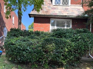 Bush Trimming by Eric Brooks for Denise W. in Philadelphia, PA