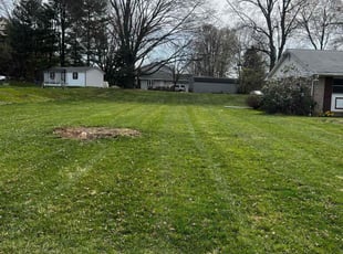 Robert J.'s Lawn Mowing service result